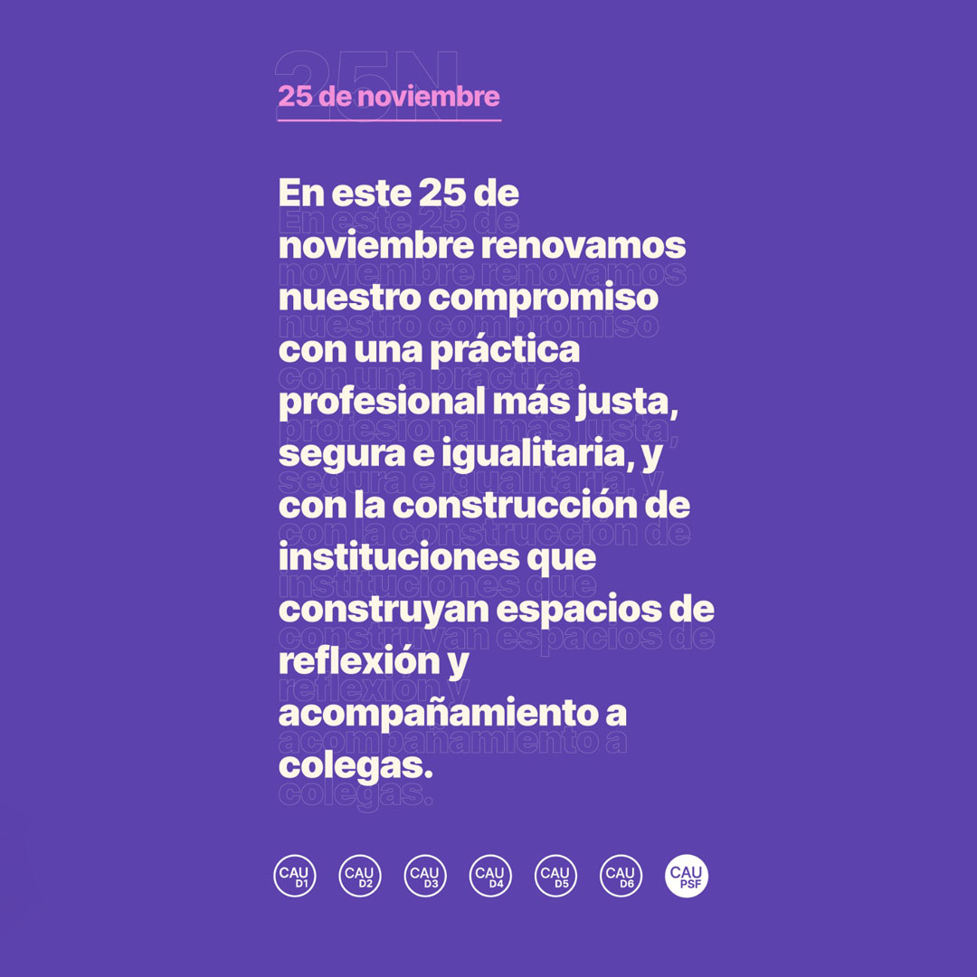 #25N: por una práctica profesional más justa, segura e igualitaria para nuestras colegas
