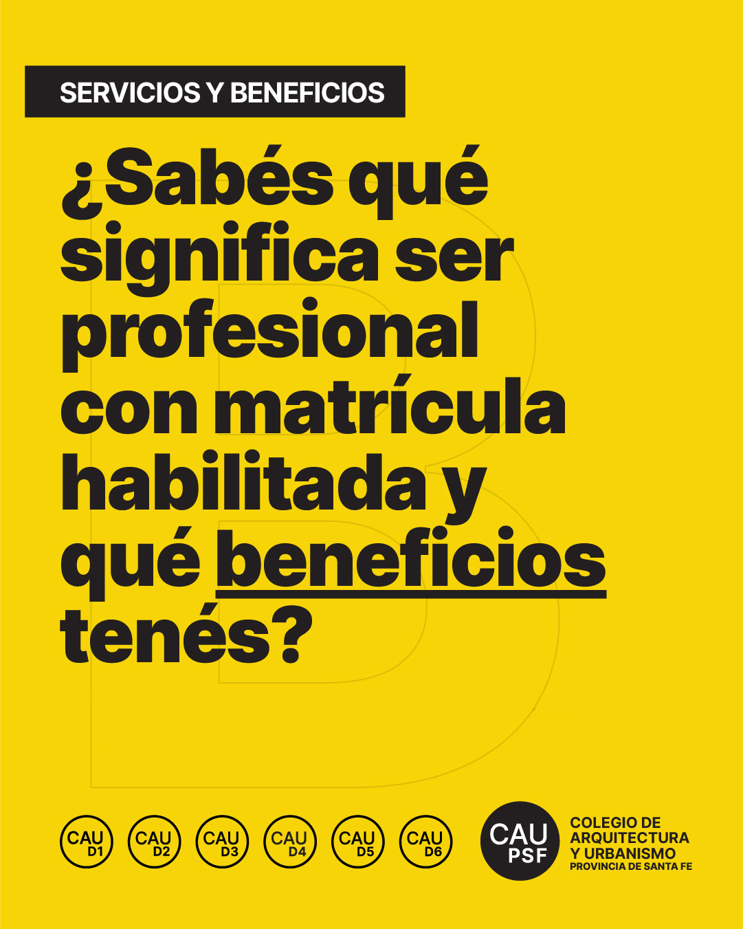 Acompañamiento integral para el ejercicio profesional